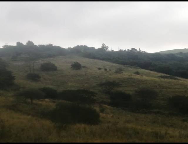 FARM FOR SALE IN STANGER RURAL